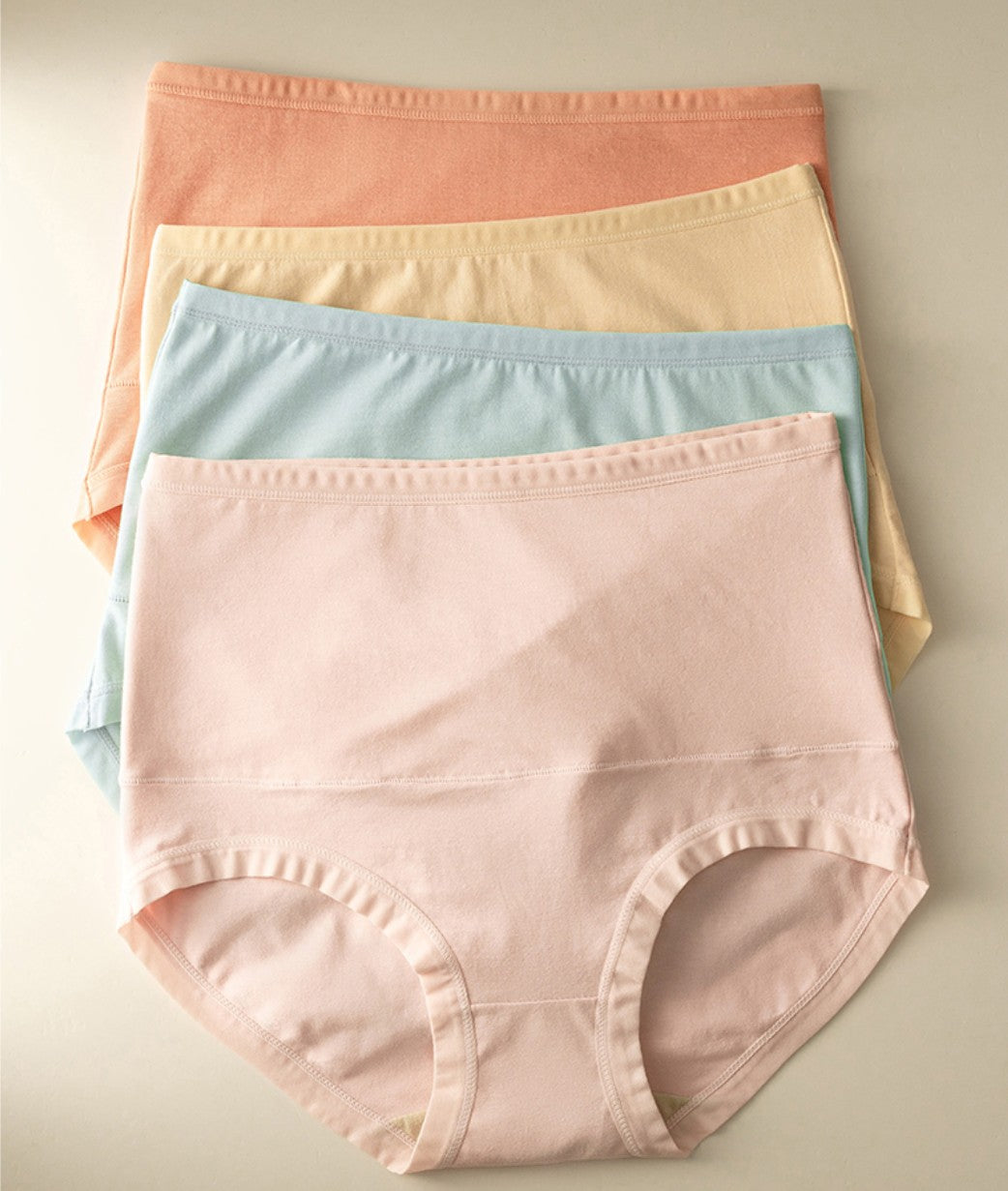 Winter Warming Fleece-Lined Abdominal Support Underwear (2 pieces)