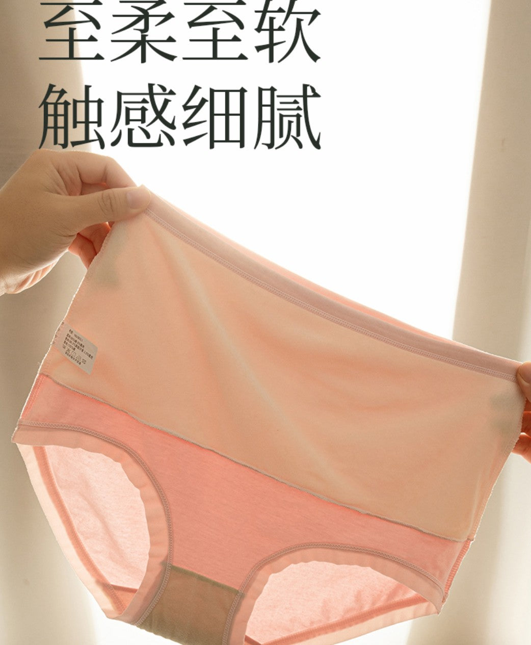 Winter Warming Fleece-Lined Abdominal Support Underwear (2 pieces)