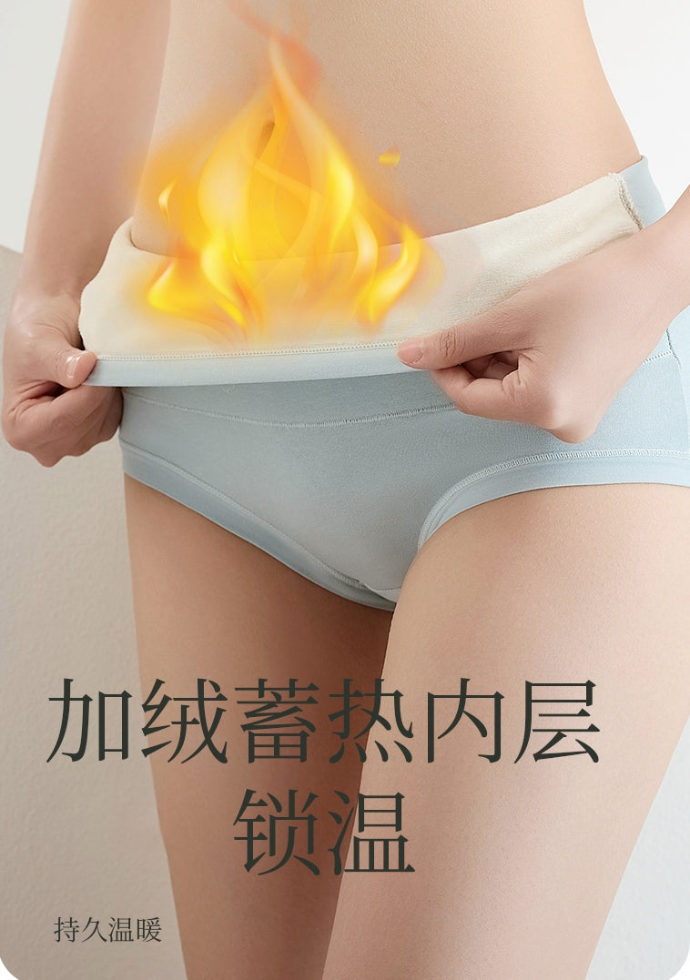 Winter Warming Fleece-Lined Abdominal Support Underwear (2 pieces)