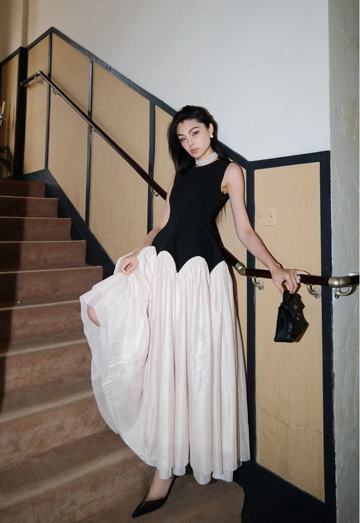 Luxury French Vintage-Style Tulle Dress