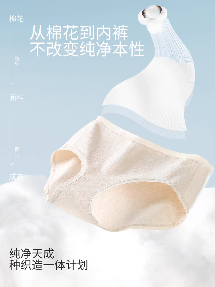 Class A Xinjiang Cotton Mid-Rise Full-Coverage Panties (2-Pack)