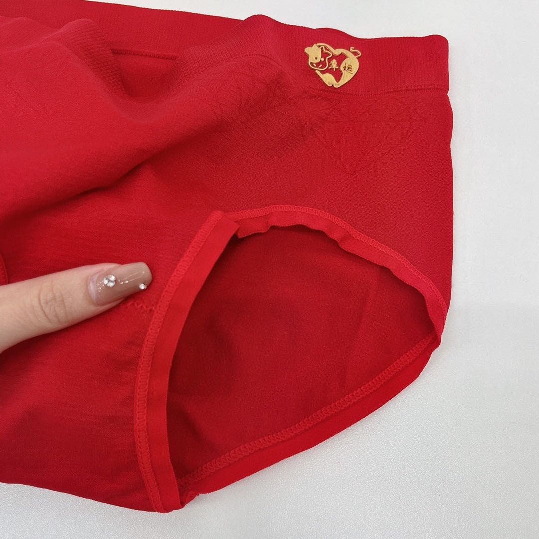 Limited New Year Shipping Panties (Pack of 2)